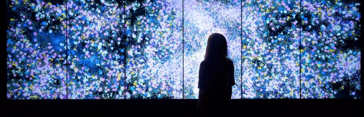One of Australia's leading galleries, Martin Browne Contemporary showcases contemporary art, video installations and new media. teamLab, Flowers and People – Dark, 2015, Interactive Digital Work, 3-8 channels (6 channels shown), Sound: Hideaki Takahashi, Endless, Courtesy of the Artist and Ikkan Art Gallery, Pace Art + Technology and Martin Brown Contemporary