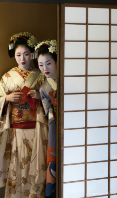 Geiko & Maiko of Kyoto by Robert van Koesveld draws together work from the artist’s five-year project of photographing the geiko and maiko of Kyoto, Japan. This exploration of a unique world will be presented at The Empty Quarter Fine Art Photo Gallery. Until March 16