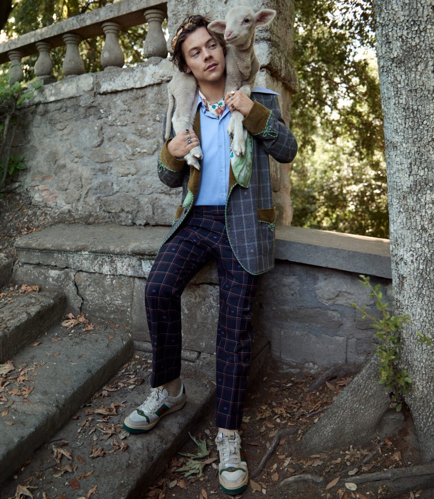 Harry Styles Stars In Guccis Latest Campaign The Daily Mojeh Magazine
