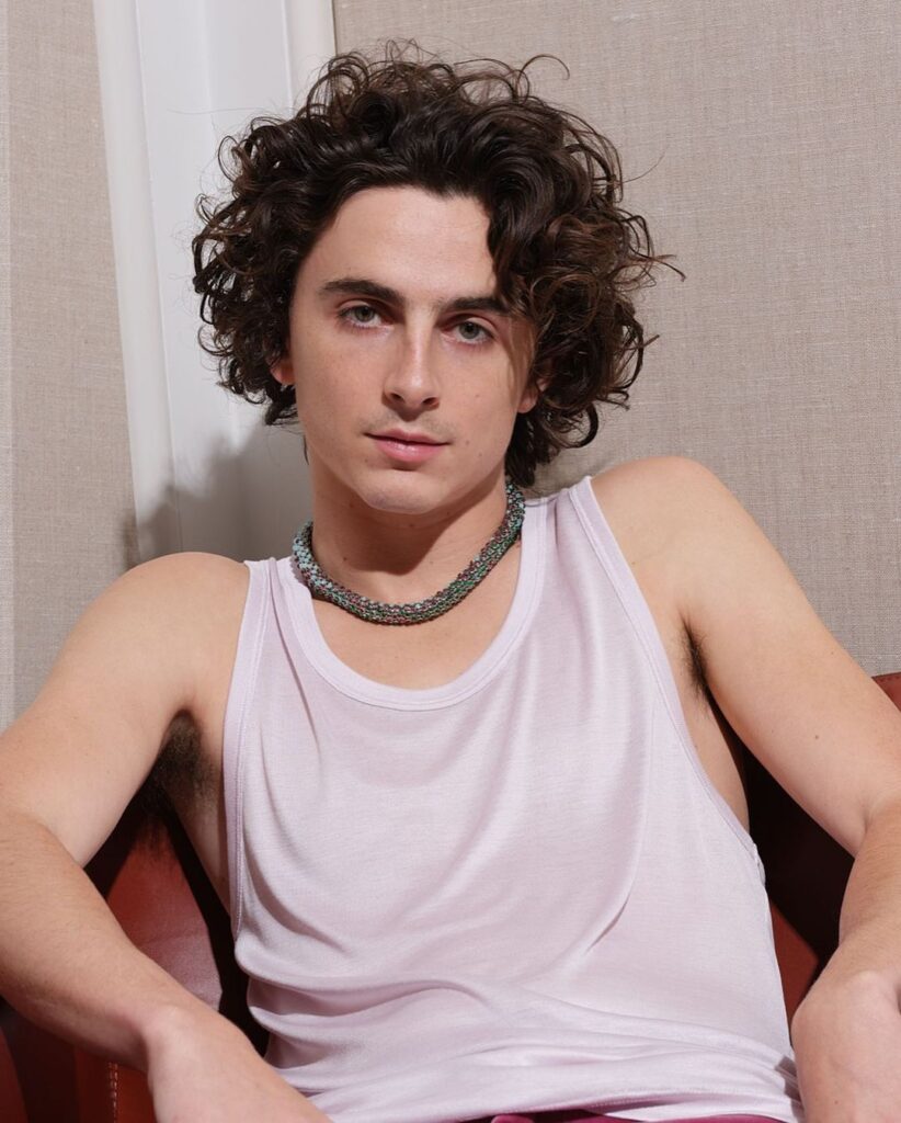 Timothée Chalamet at the 'Wonka' premiere, wearing a custom Cartier necklace and tank top